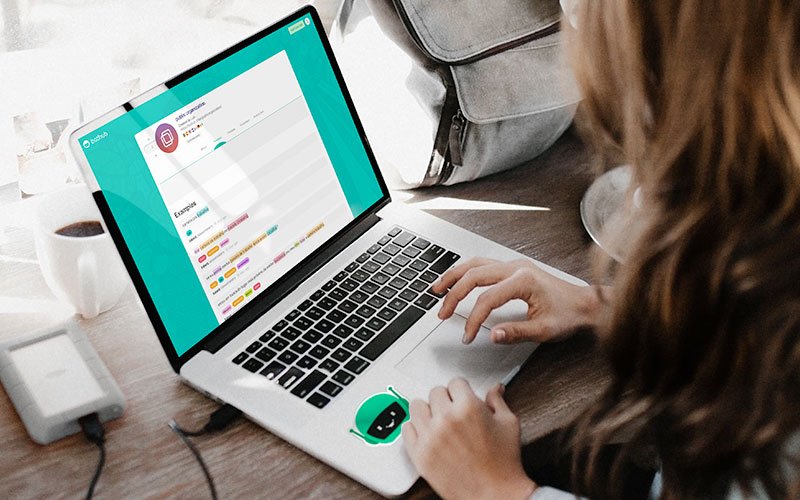 Bothub interface