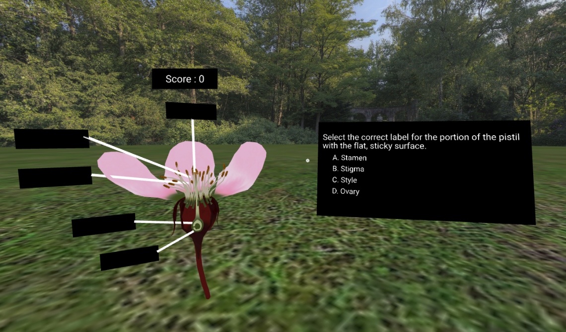 Screenshot of a Veative Labs lesson module