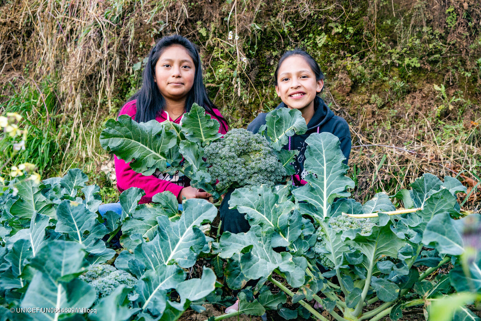 The photos featured in this article are illustrative and not literal representations of the specific project activities. They are used symbolically to reflect the themes of climate change and DRR.