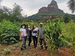 Treejer team 